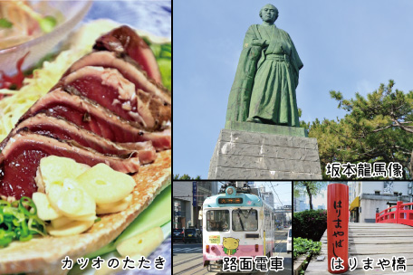 新土佐自動車学校 高知県 観光